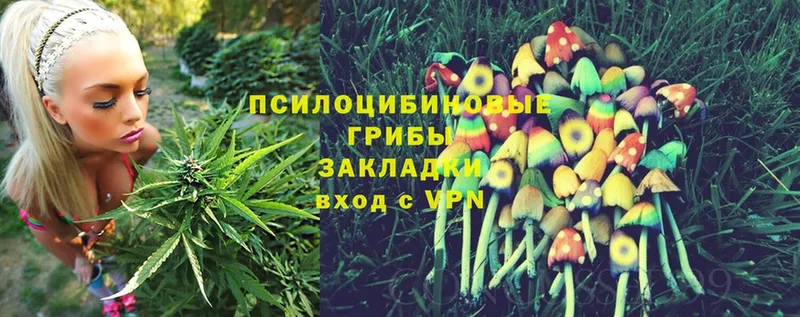 как найти наркотики  Коломна  маркетплейс состав  Псилоцибиновые грибы Magic Shrooms 