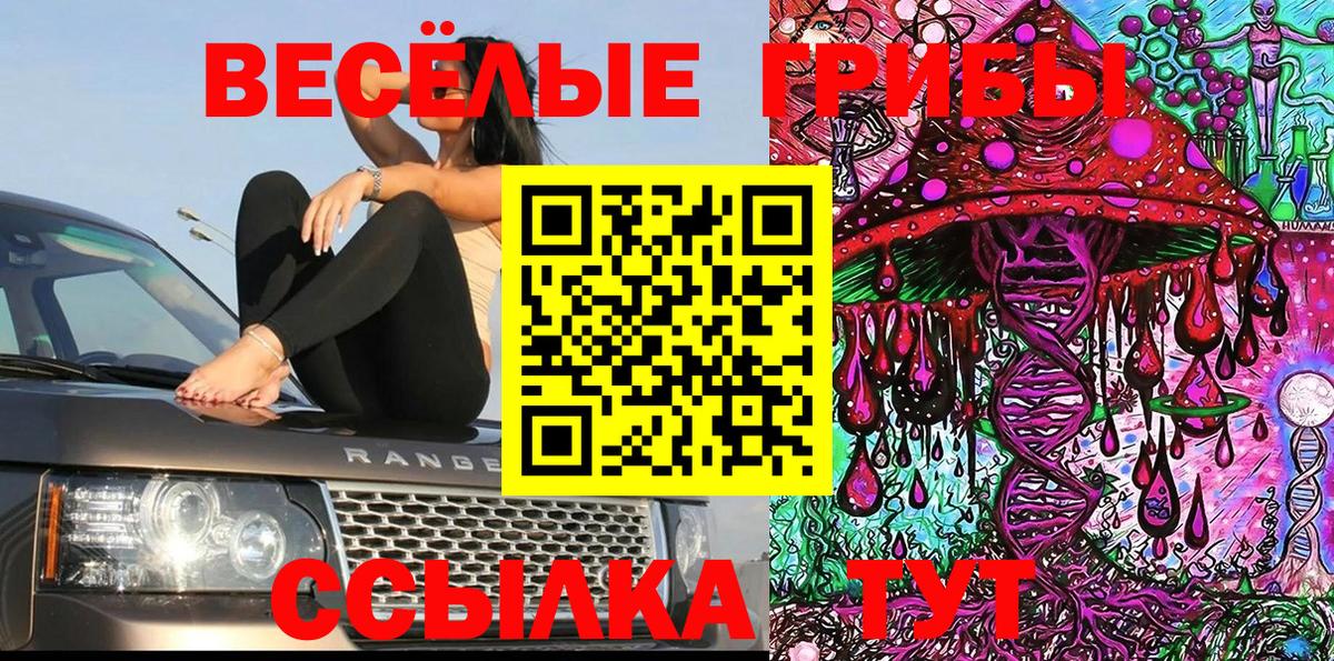 Псилоцибиновые грибы мухоморы  Псилоцибиновые грибы прущие грибы  купить наркоту  Коломна 