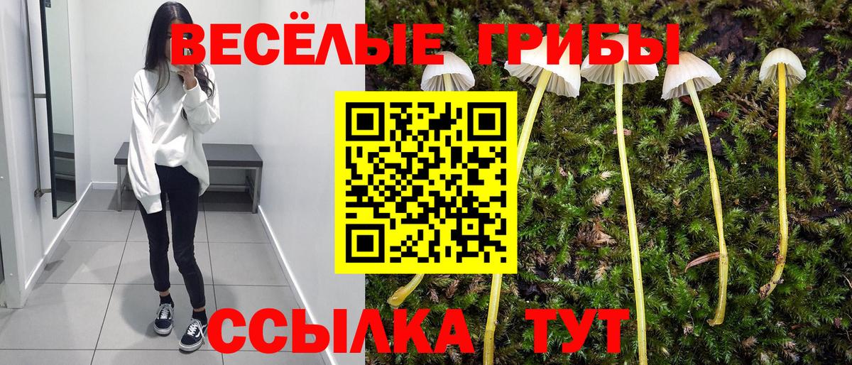 Коломна  Галлюциногенные грибы Magic Shrooms  Вход с VPN 