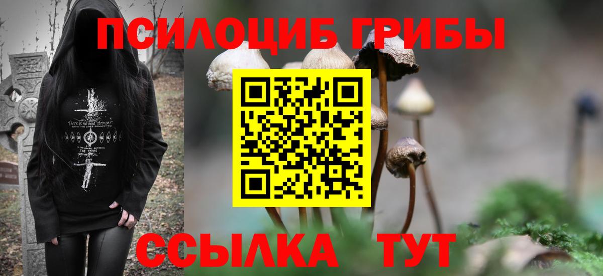 Галлюциногенные грибы прущие грибы Коломна