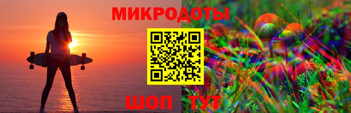 Псилоцибиновые грибы Psilocybe Коломна
